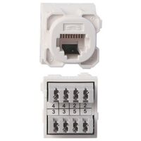 WALLPLATE & INSERT 