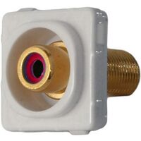 Amdex RCA TO “F” FLUSH  spare part